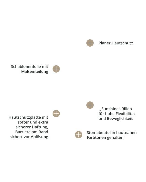 baofree-1-sunshine_colo-beutel-plan_mini Overlayer