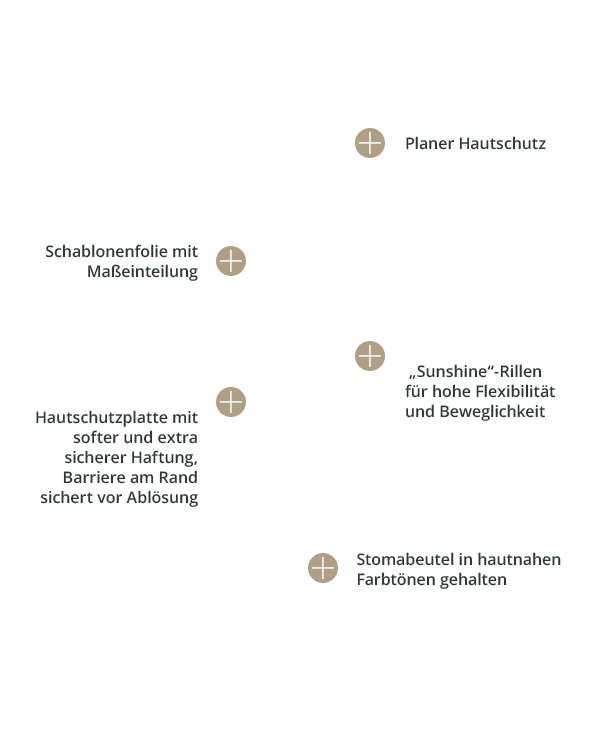 baofree-1-sunshine_colo-beutel-plan_standard Overlayer