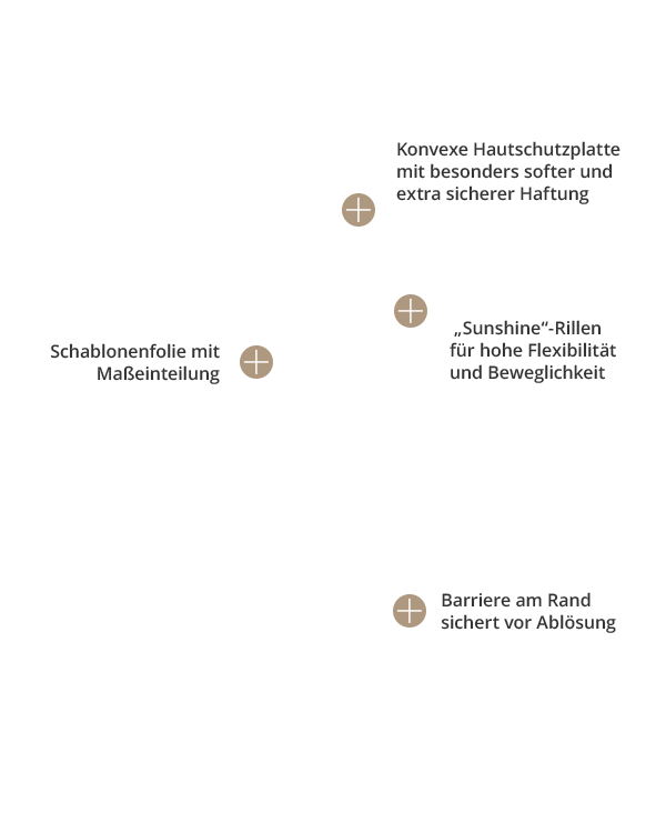 baofree-2-sunshine_basisplatte-konvex_standard Overlayer