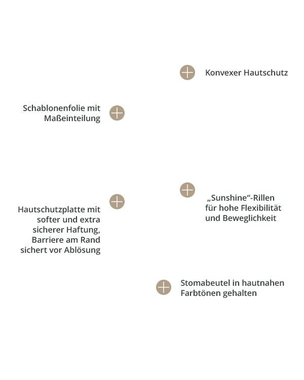 baofree-1-sunshine_colo-beutel-konvex_standard Overlayer